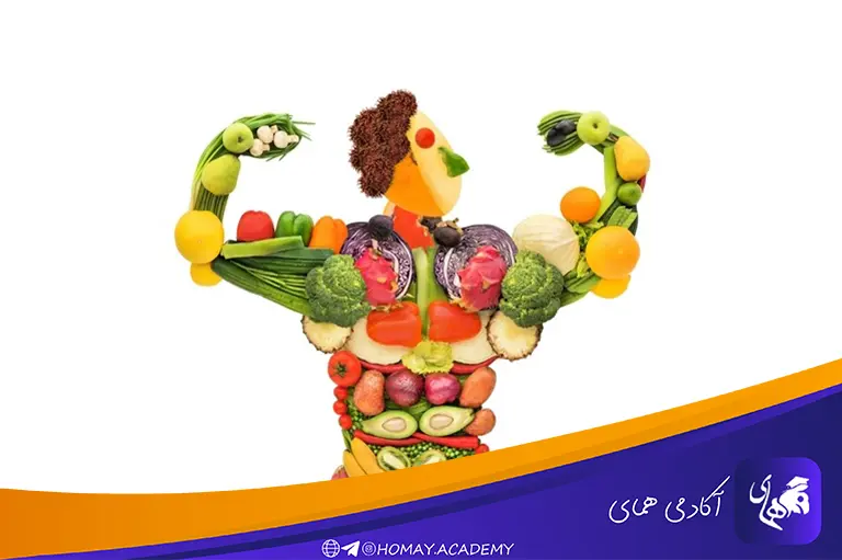 تغذیه مناسب