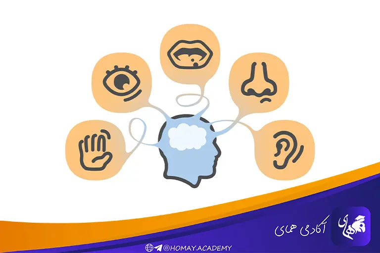 حافظه حسی