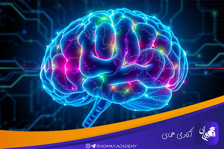 مغز انسان