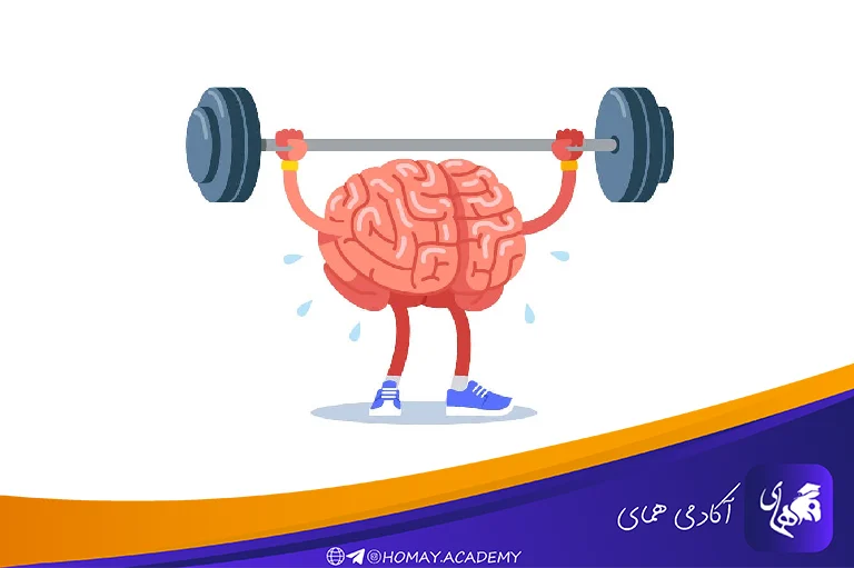 تقویت حافظه