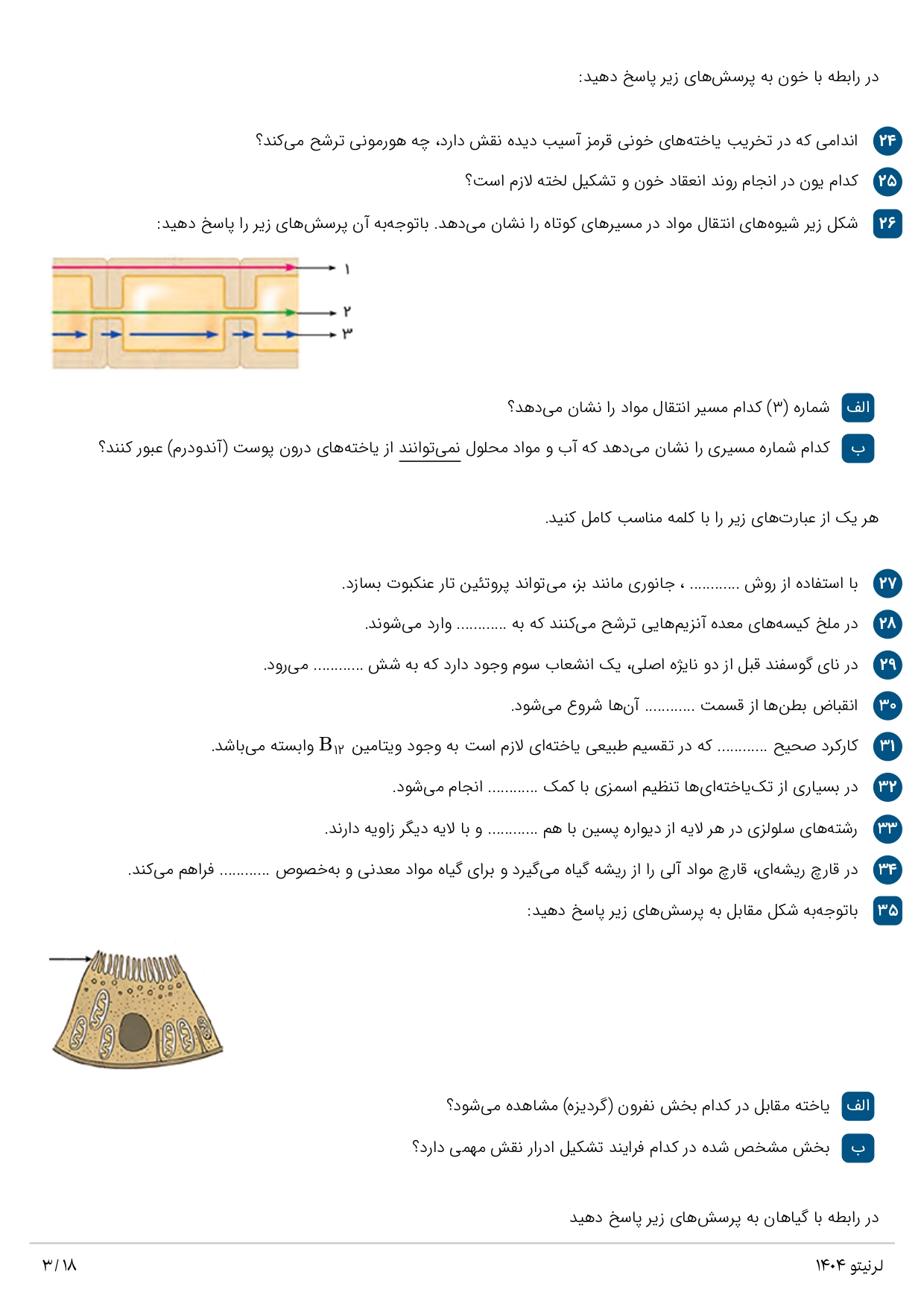 نمونه سوال دهم تجربی