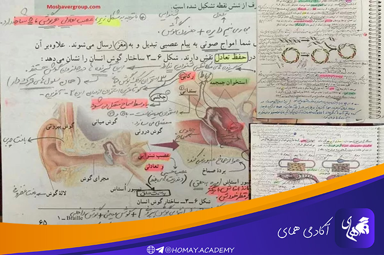 مطالعه زیست برای کنکور
