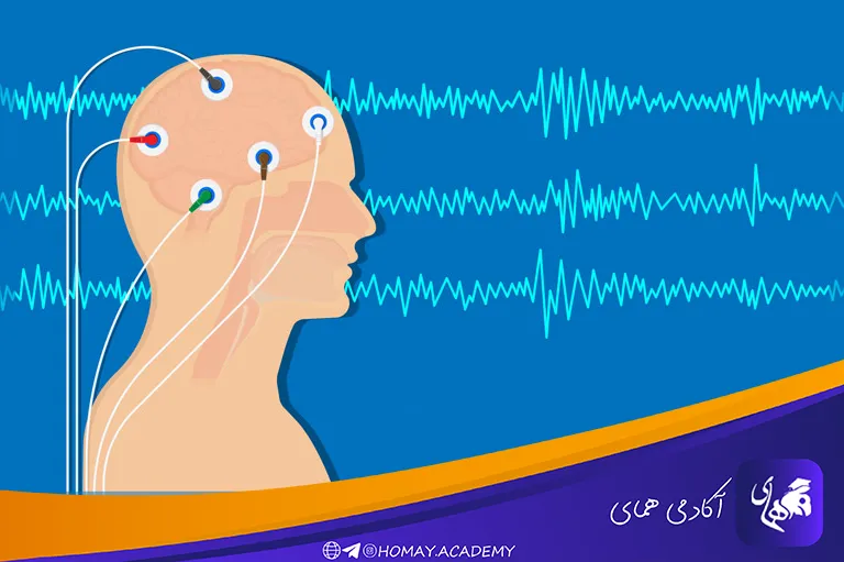 نوروفیدبک برای عملکرد شناختی