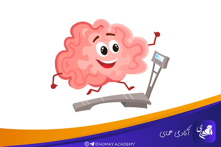 سرعت پردازش مغز چیست