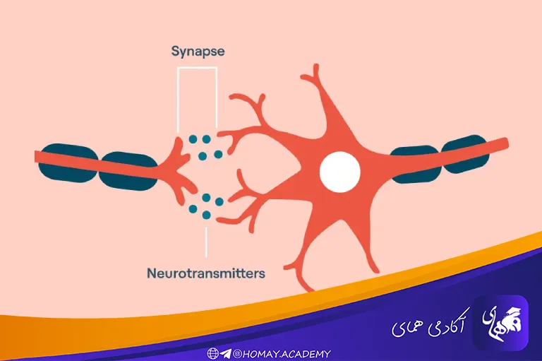 علت سرعت پایین پردازش مغز