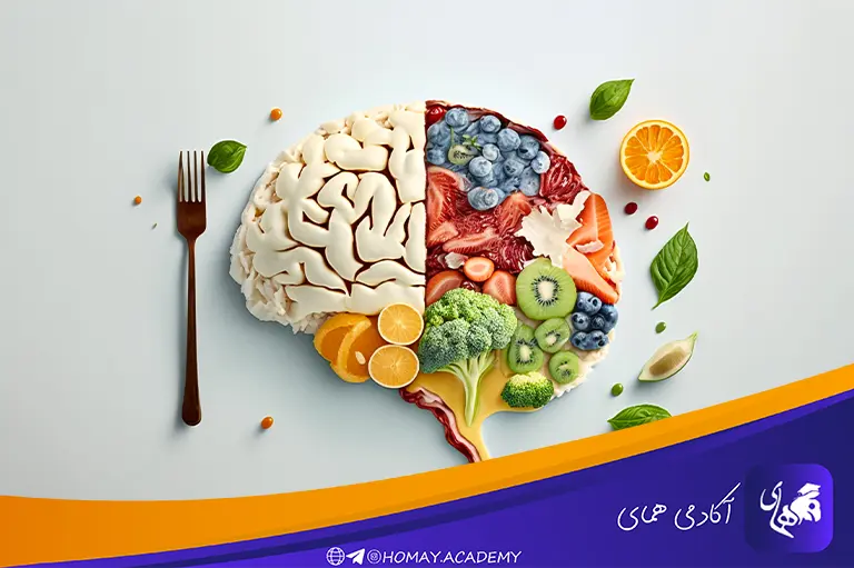 تغذیه مفید برای مغز