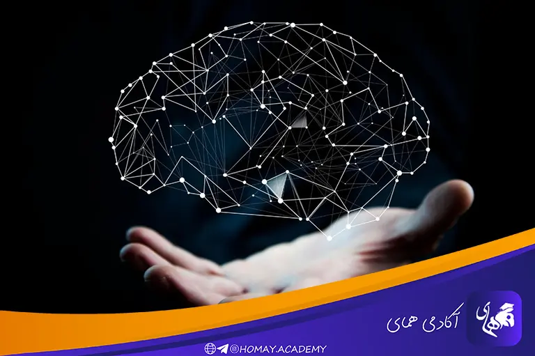 انواع توجه