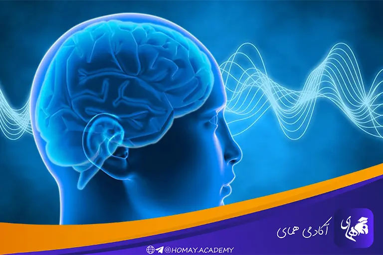 تمرکز واقعاً به چه معناست