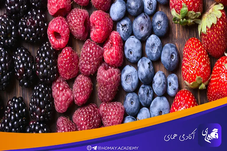 انواع توتها