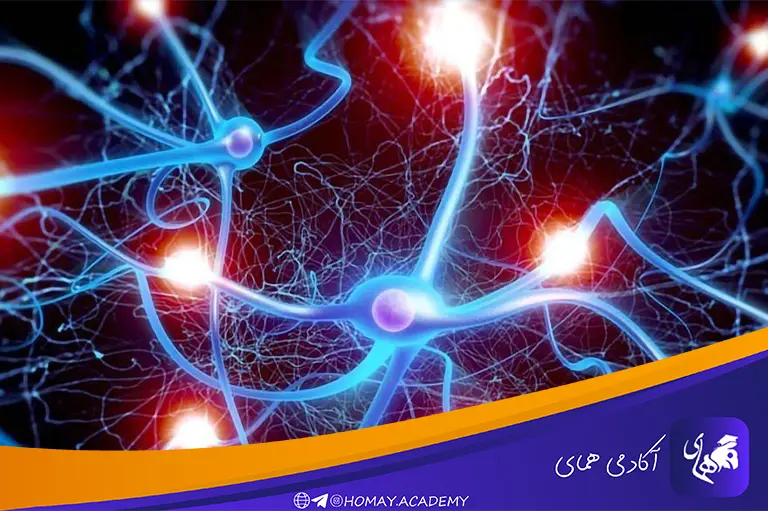 بهترین مواد غذایی برای تقویت حافظه