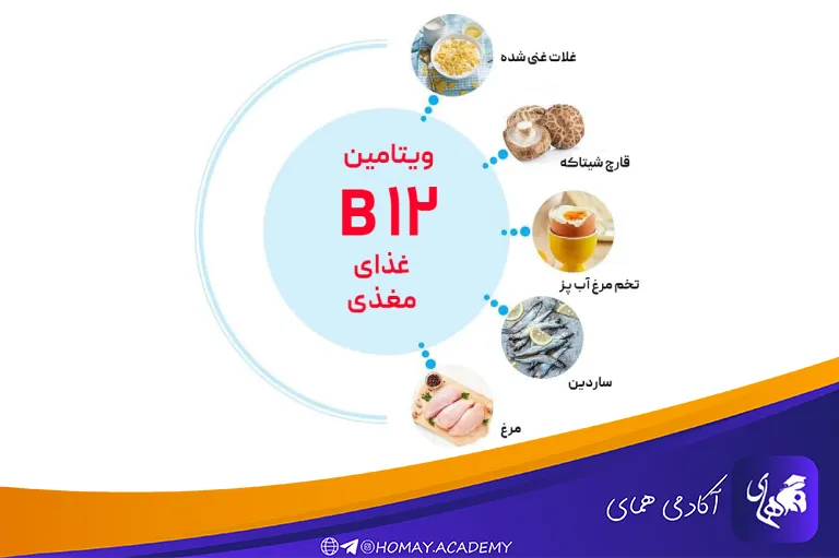 غذاهای داری ویتامین B12