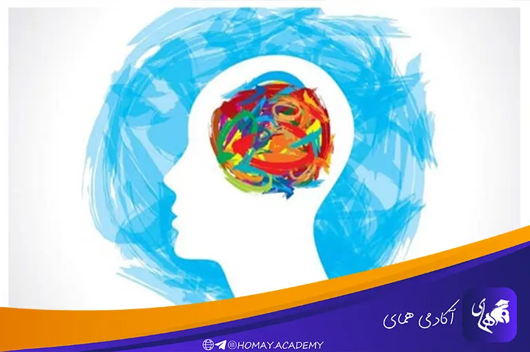 عوامل موثر بر مطالعه مفهومی