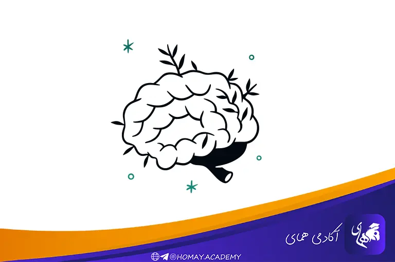 تکنیک‌های افزایش تمرکز در مطالعه