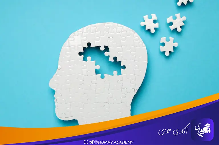 شناخت حافظه