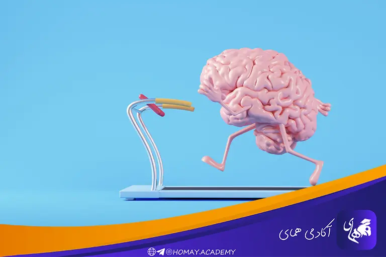 تقویت حافظه