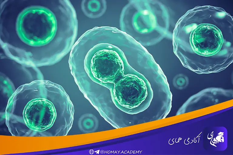 پایههای زیستشناسی