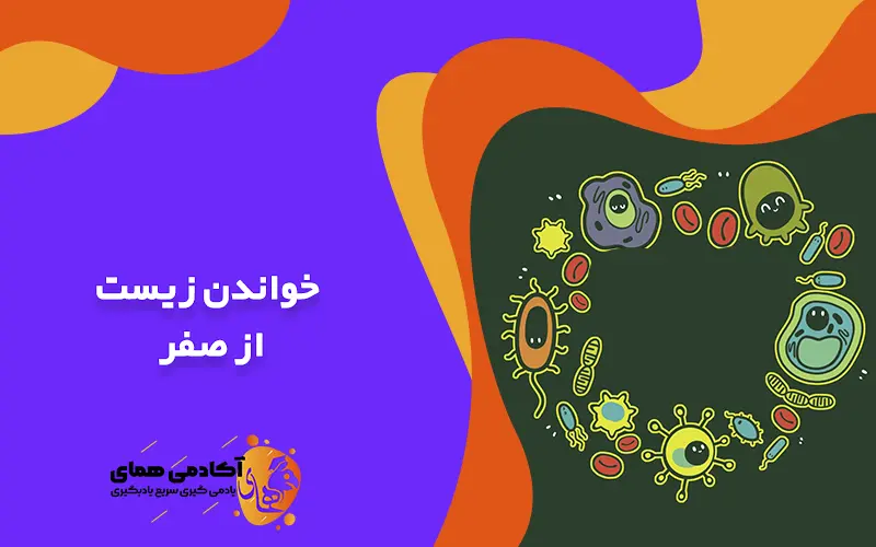 خواندن زیست از صفر؛ مطالعه زیست را از کجا شروع کنیم