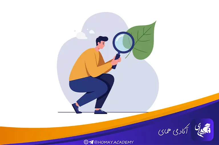 مشاهده بدون قضاوت