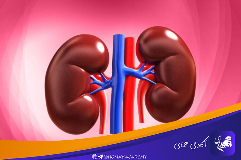 متخصص اورولوژی
