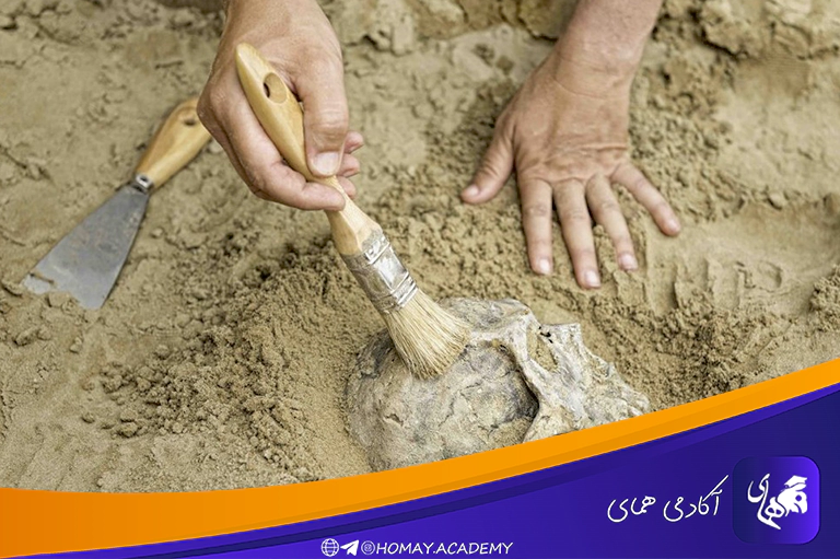 باستان شناس